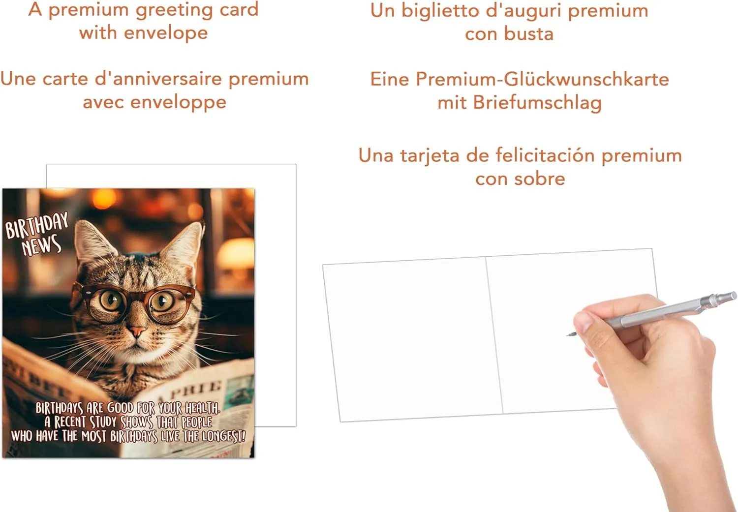 Edition Seidel Premium GQ151 verjaardagskaart kat grappig