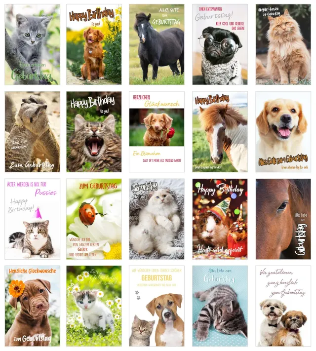 Edition Seidel Premium verjaardagskaarten SW02 set 20 katten honden