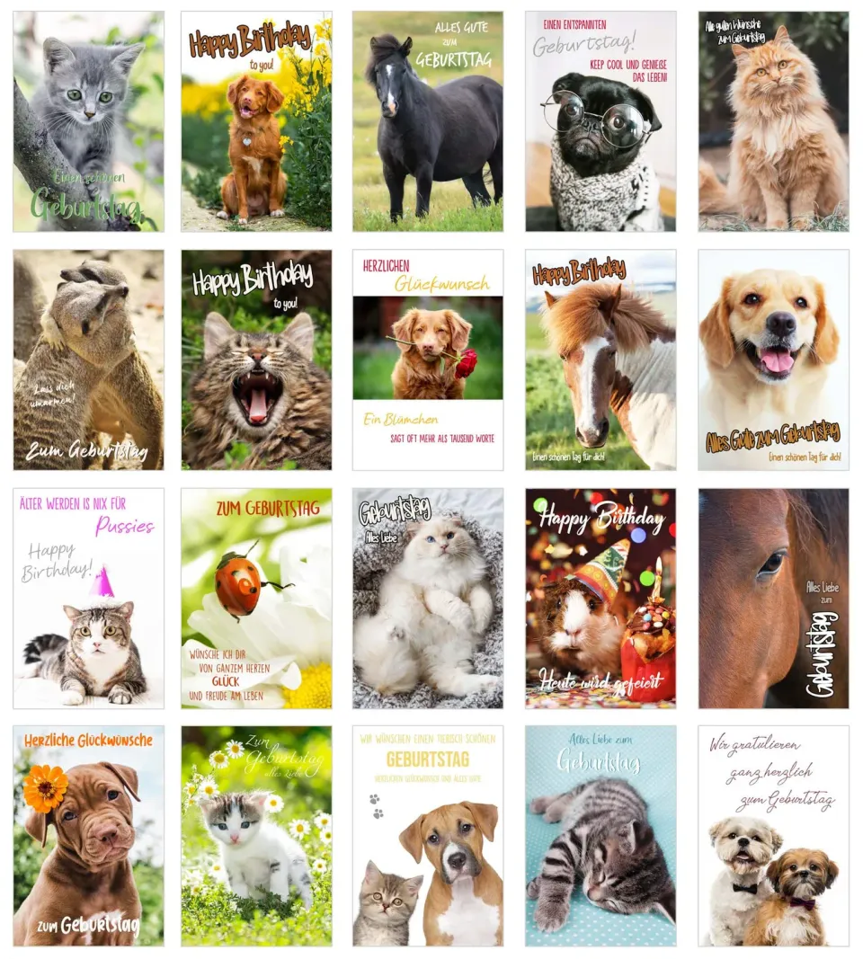Edition Seidel Premium verjaardagskaarten SW02 set 20 katten honden