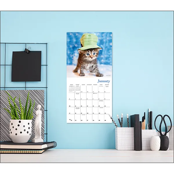 Sellers Publishing Cats In Hats 2027 minikalender katten