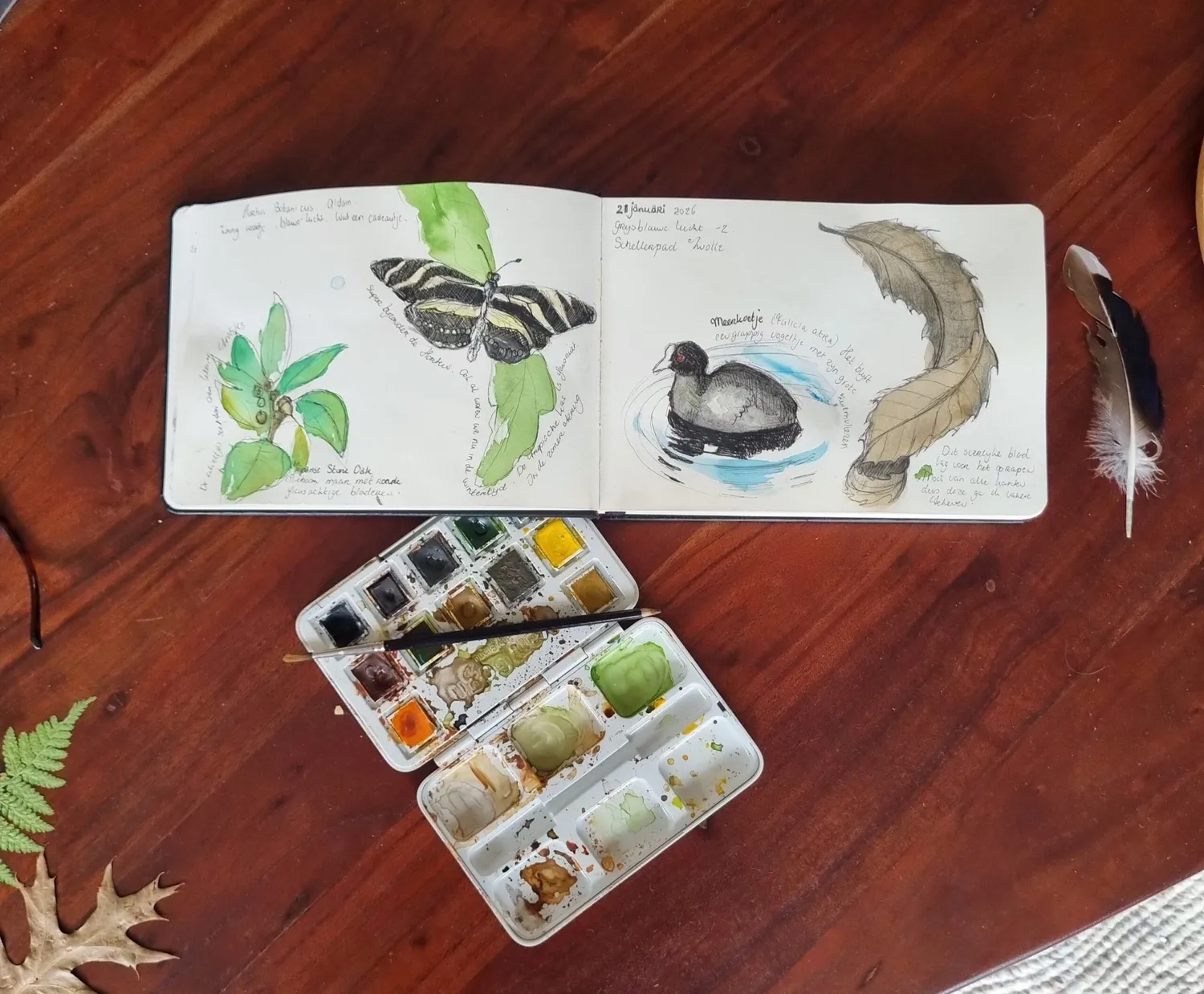 Blad & Beeld Workshop Natuur journaling workshop