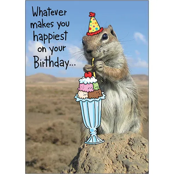 Sellers Publishing Birthday B12701A verjaardagskaart 6 stuks gopher