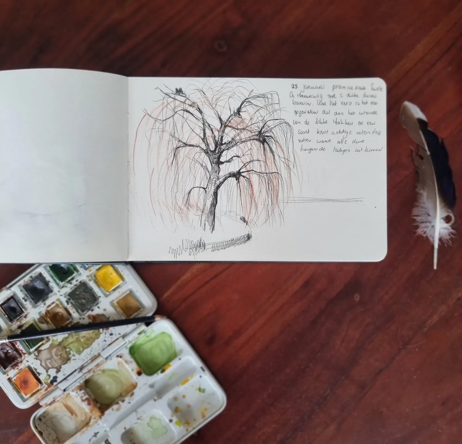 Blad & Beeld Workshop Natuur journaling workshop