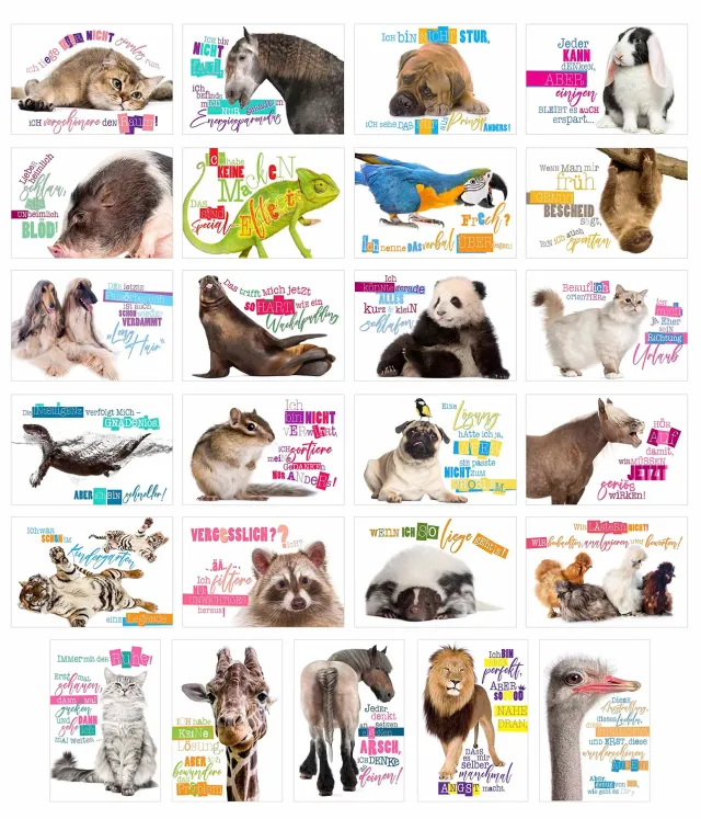 Edition Seidel 23003 postkaarten dieren set 25 grappig