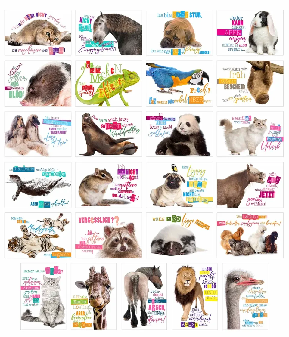 Edition Seidel 23003 postkaarten dieren set 25 grappig