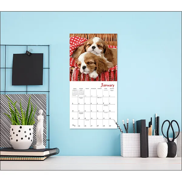 Sellers Publishing Pooped Puppies 2027 minikalender slapende puppy's