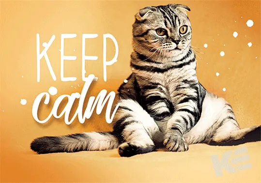 Kurt Eulzer 30-2385 ansichtkaart kat Keep Calm 3D