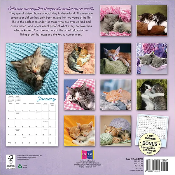 Sellers Publishing Cat Naps 2027 wandkalender katten