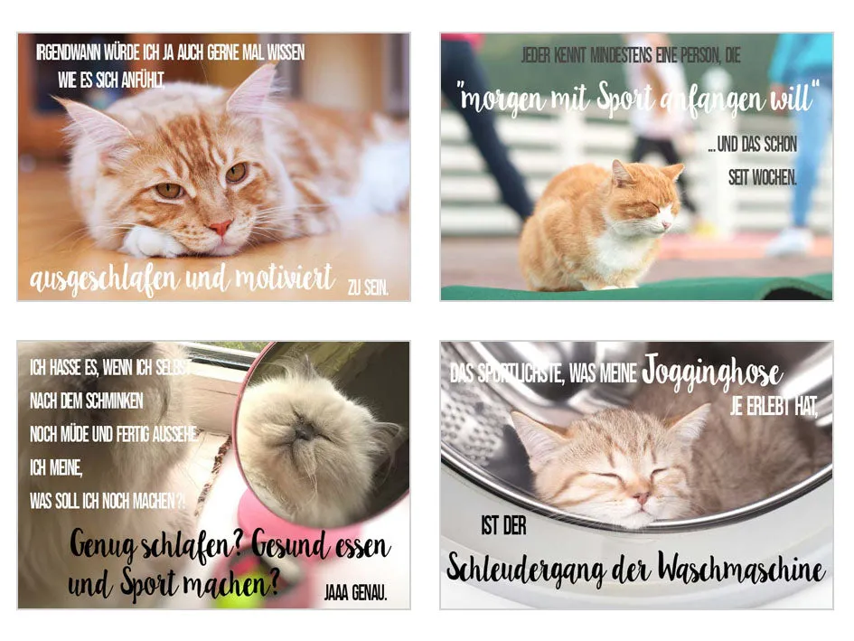 Edition Seidel 20316 postkaarten 20 stuks katten grappig