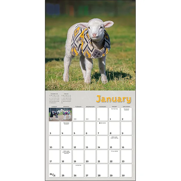 Sellers Publishing Lambies in Jammies 2027 wandkalender