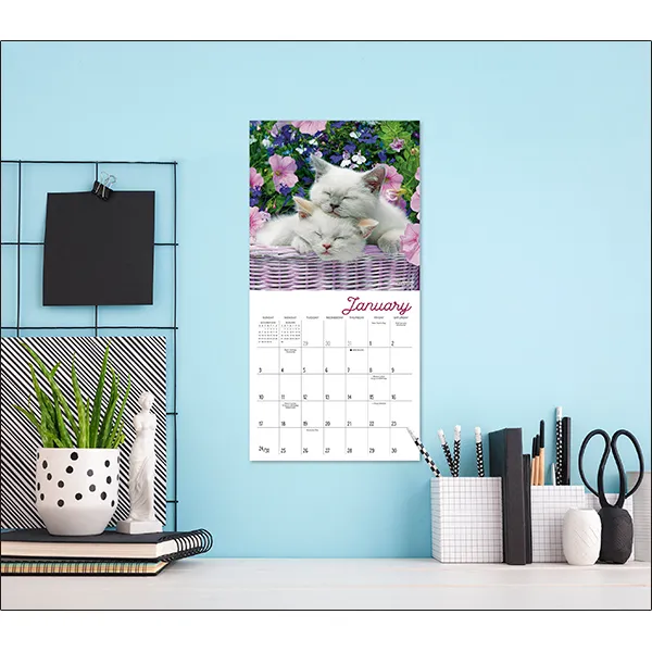 Sellers Publishing Cat Naps 2027 minikalender slapende katten