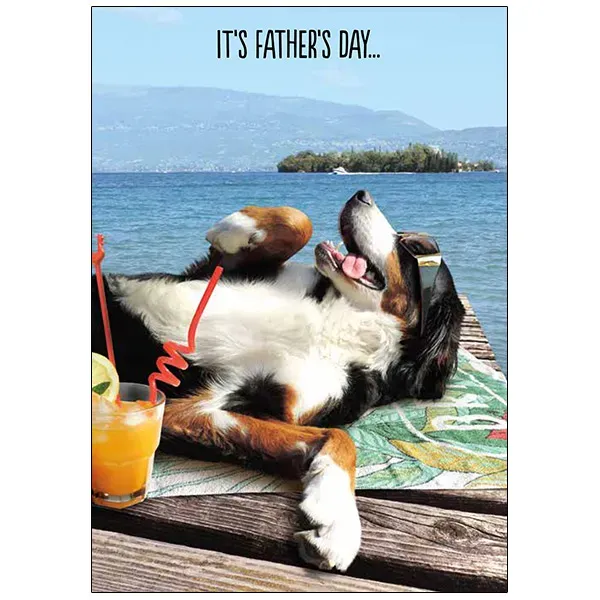 Sellers Publishing Father's Day F5640D vaderdagkaart humor