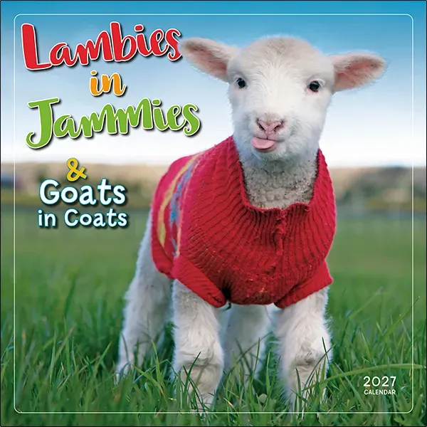 Sellers Publishing Lambies in Jammies 2027 wandkalender