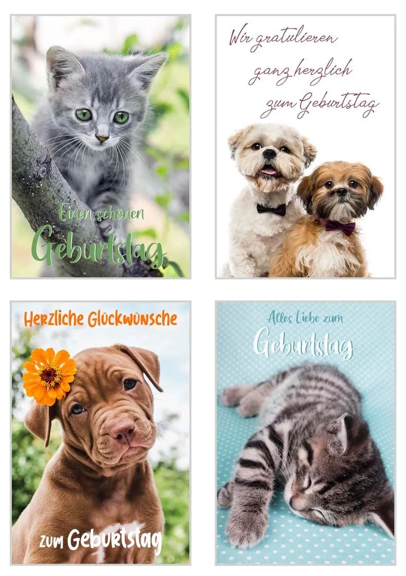 Edition Seidel Premium verjaardagskaarten SW02 set 20 katten honden