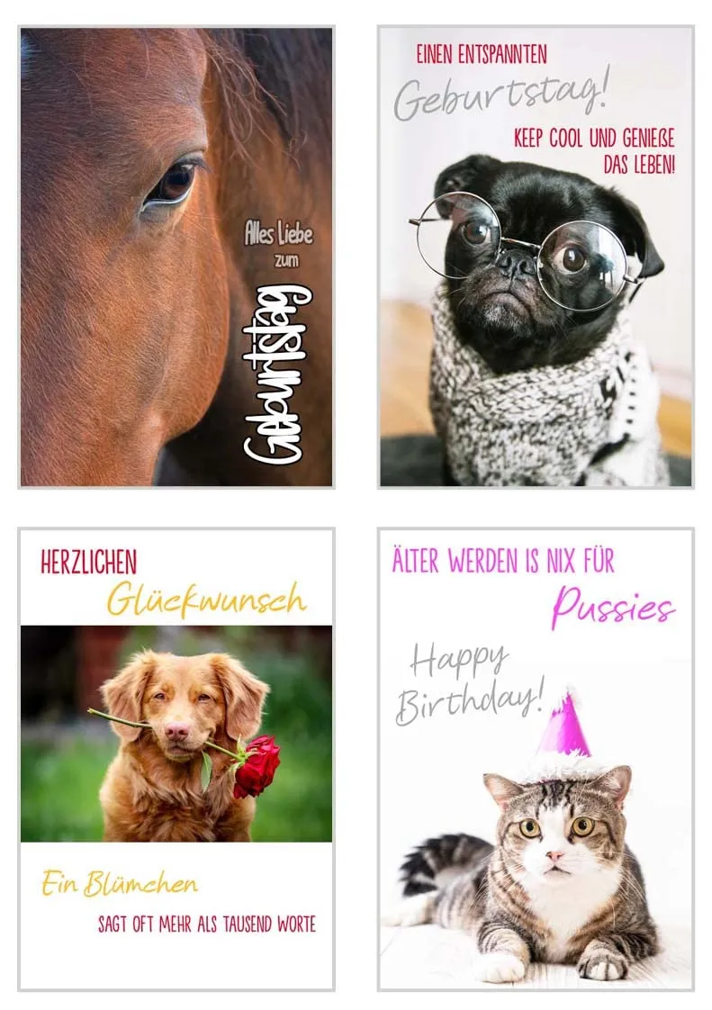Edition Seidel Premium verjaardagskaarten SW02 set 20 katten honden