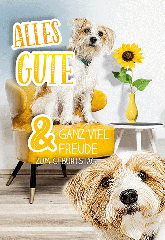Kurt Eulzer 50-0118 verjaardagskaart hond 3D per stuk