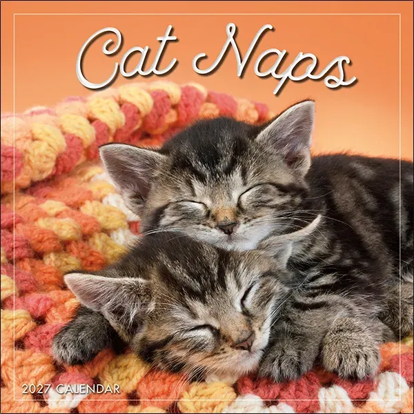Sellers Publishing Cat Naps 2027 minikalender slapende katten