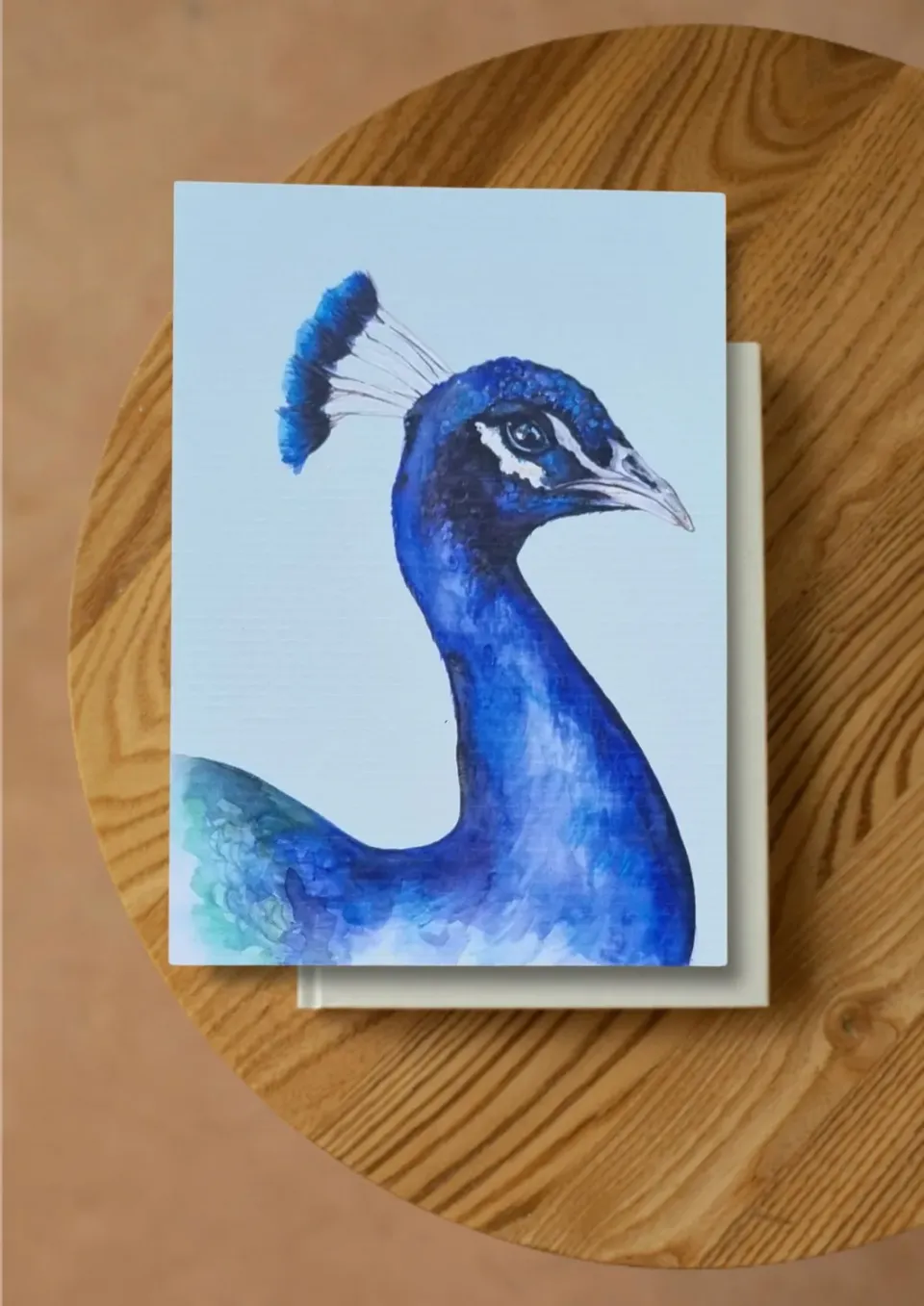 Blad & Beeld Pauw kaart kleurrijke illustratie