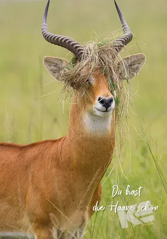 Kurt Eulzer Comedy Wildlife 30-1579 kaart 10 stuks – bok