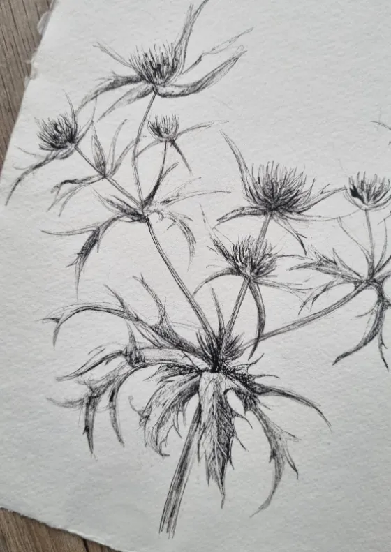 Blad & Beeld Distel khadi papier kaart handgeschept