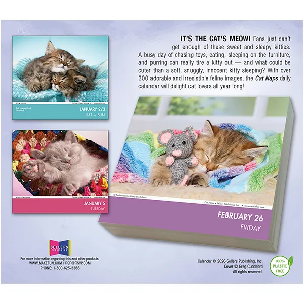 Sellers Publishing Cat Naps 2027 dagkalender katten