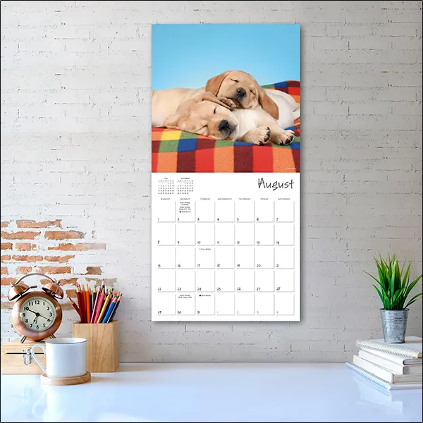 Sellers Publishing Pooped Puppies 2027 wandkalender pups
