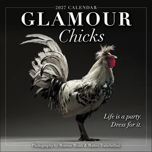 Glamour Chicks 2027 minikalender kippen mini