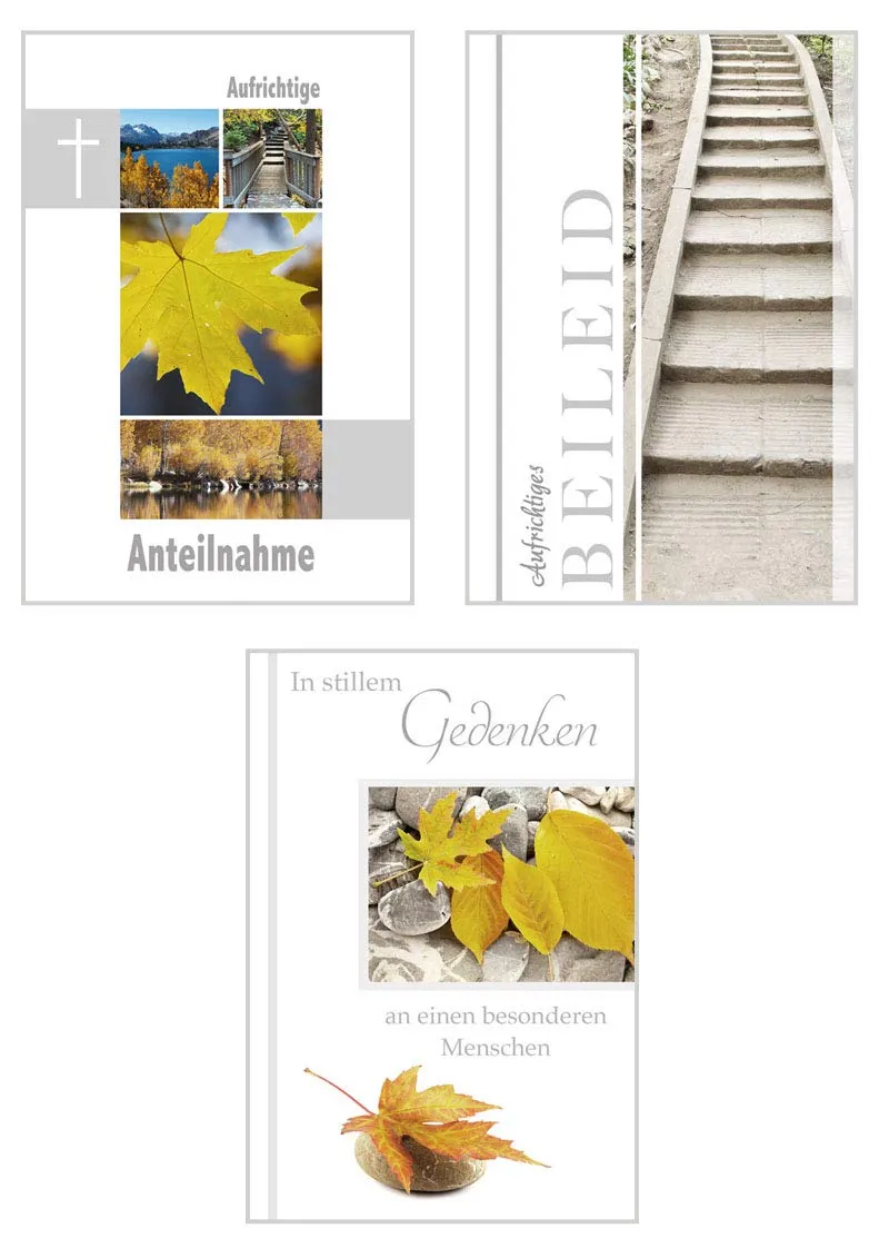 Edition Seidel 20825 condoleancekaarten set 9 stuks