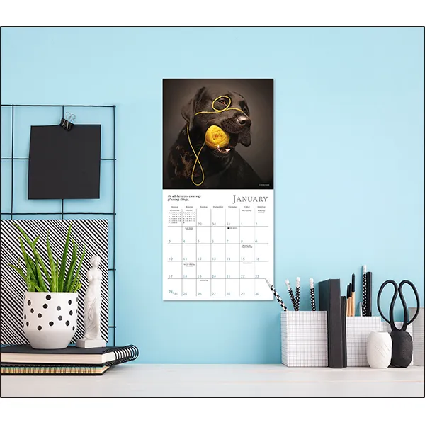 Sellers Publishing Dogma 2027 mini kalender honden