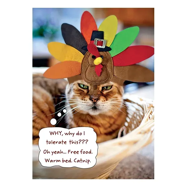 Sellers Publishing Thanksgiving TG3079E wenskaarten 3 stuks kat