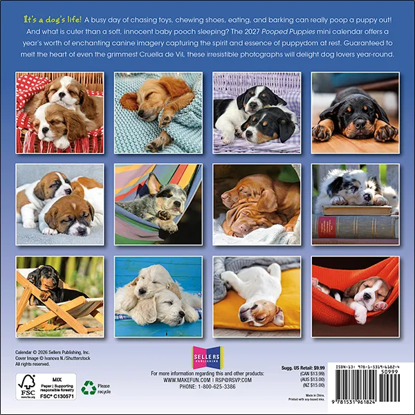 Sellers Publishing Pooped Puppies 2027 minikalender slapende puppy's