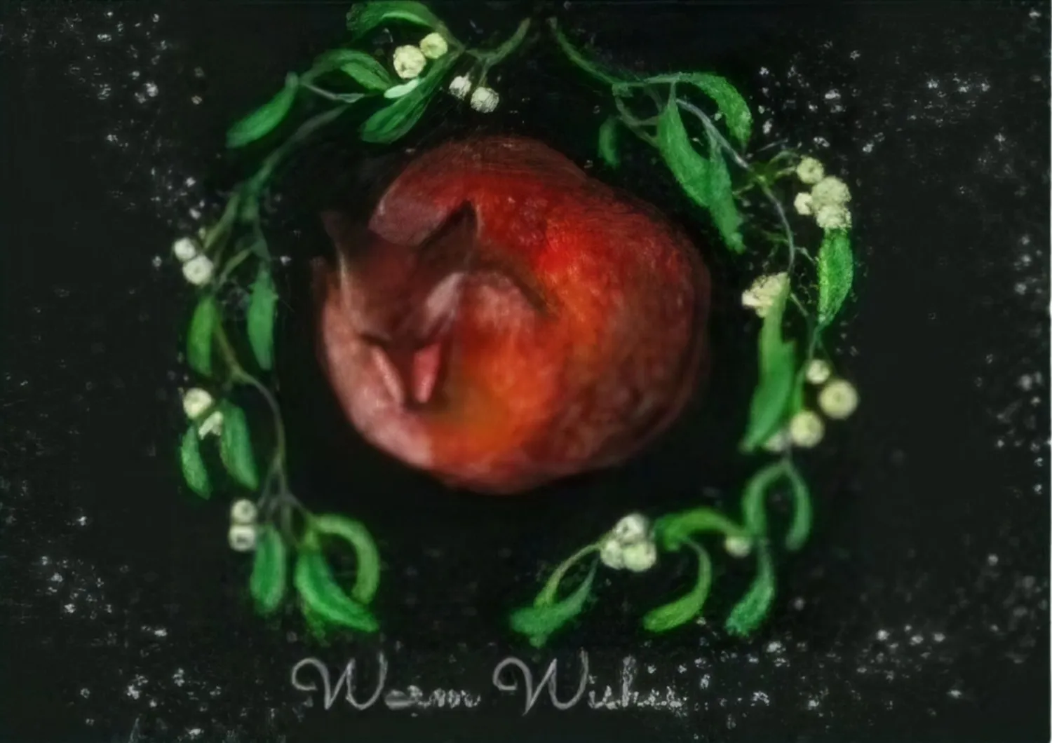 Blad & Beeld Warm Wishes slapende vos kerstkaart A6
