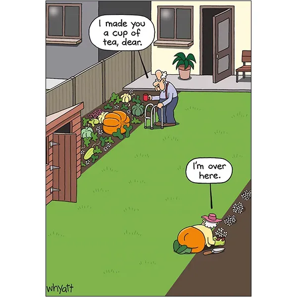 Sellers Publishing Birthday Humor B8600 verjaardagskaarten 6-pack grappig