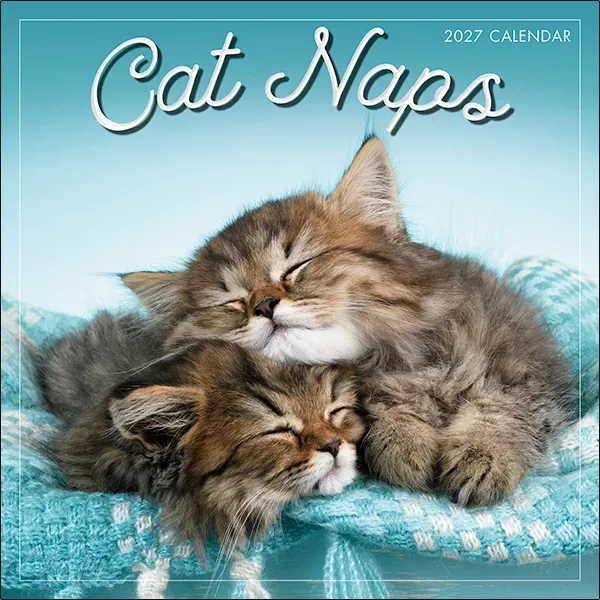 Sellers Publishing Cat Naps 2027 wandkalender katten