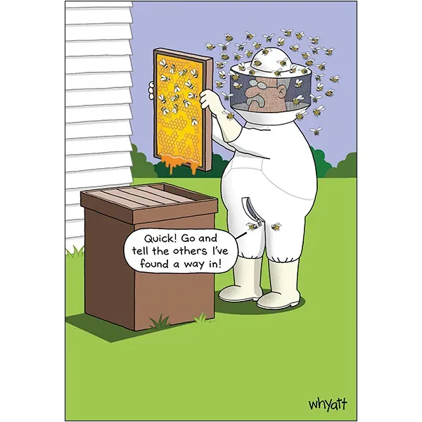 Sellers Publishing Birthday Humor B7723A verjaardagskaarten 6 stuks grappig