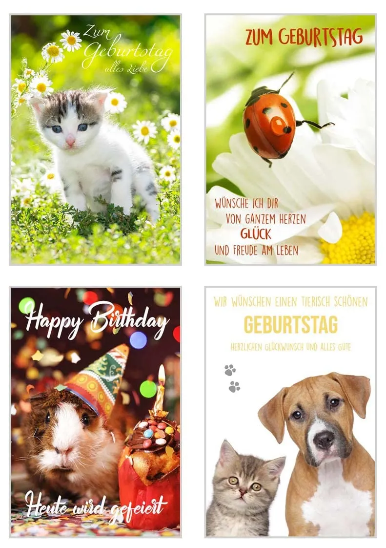 Edition Seidel Premium verjaardagskaarten SW02 set 20 katten honden