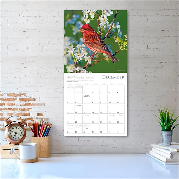 Sellers Publishing Songbirds of North America 2027 wandkalender