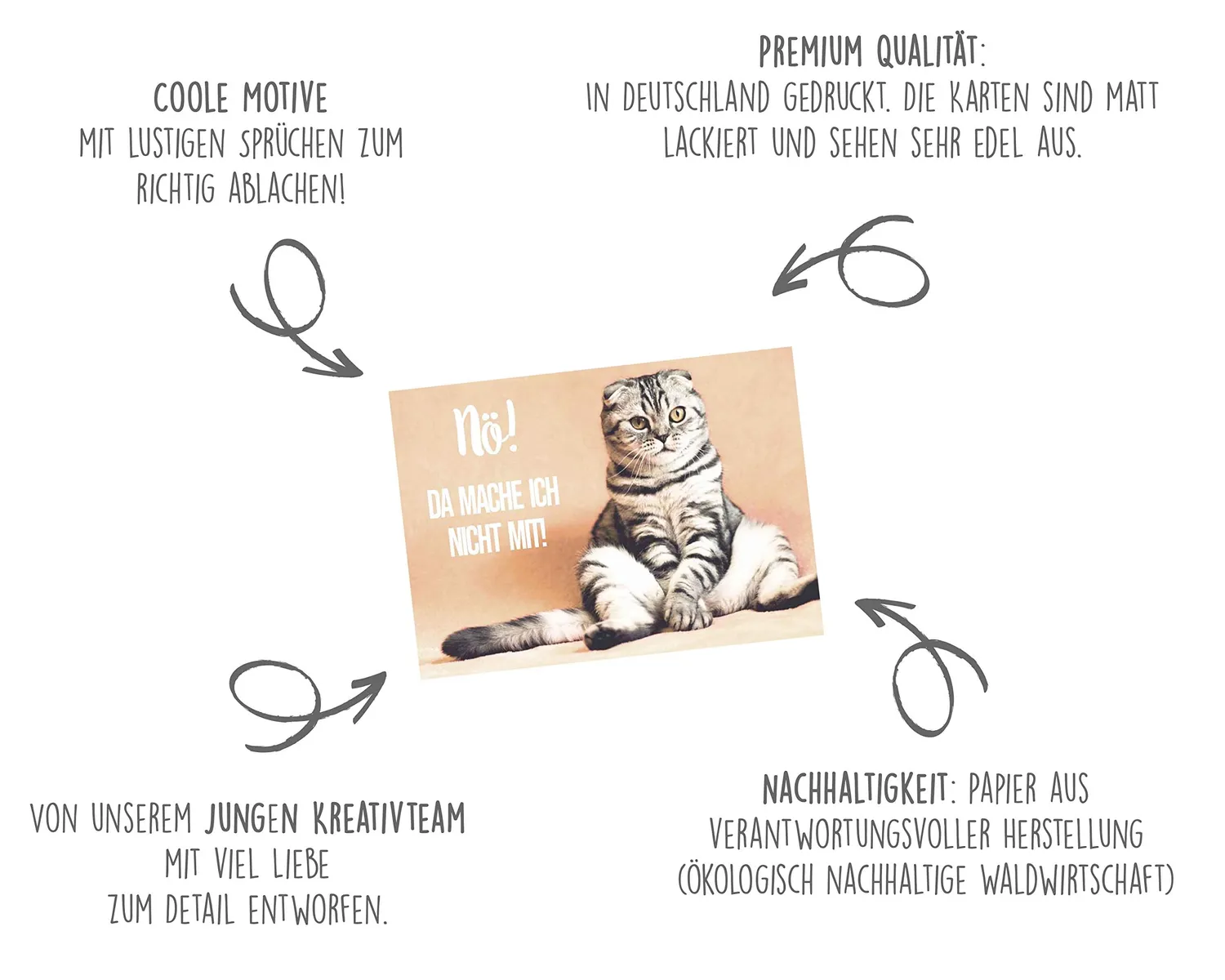 Edition Seidel katten postkaarten 40 stuks met spreuk humor
