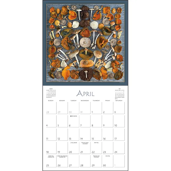 Sellers Publishing Mushrooms 2027 wandkalender paddenstoelen