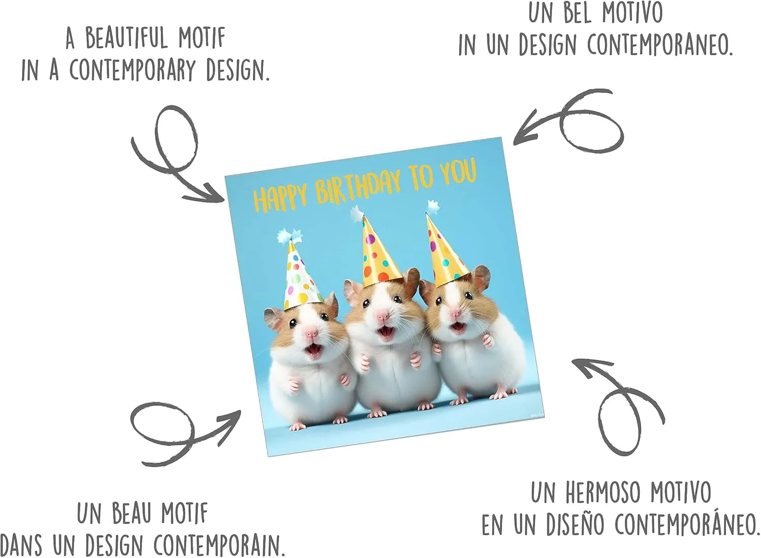 Edition Seidel Premium verjaardagskaart GQ123 vierkant hamster humor