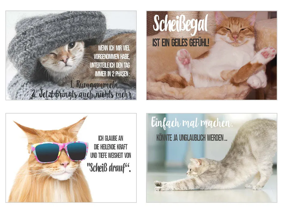 Edition Seidel 20316 postkaarten 20 stuks katten grappig