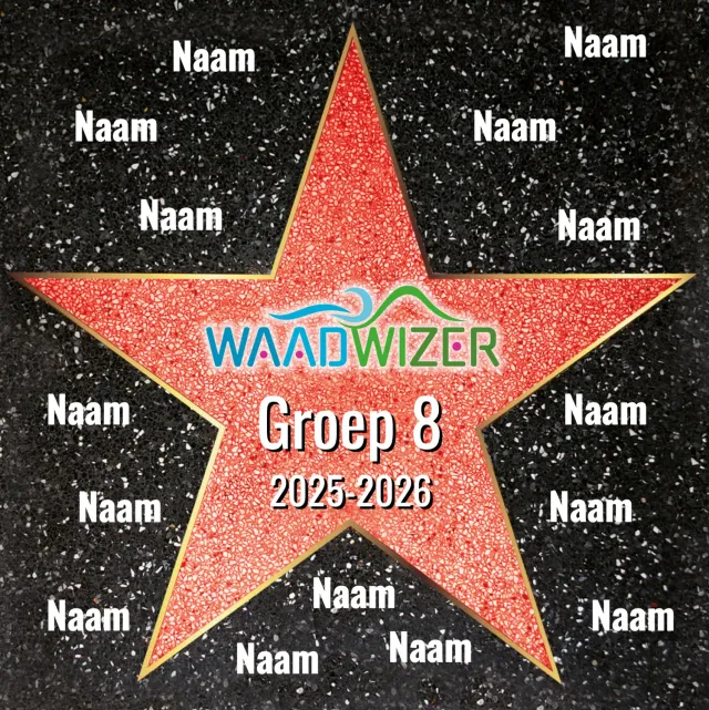 Gozi Waadwizer Template stoeptegel persoonlijk antislip
