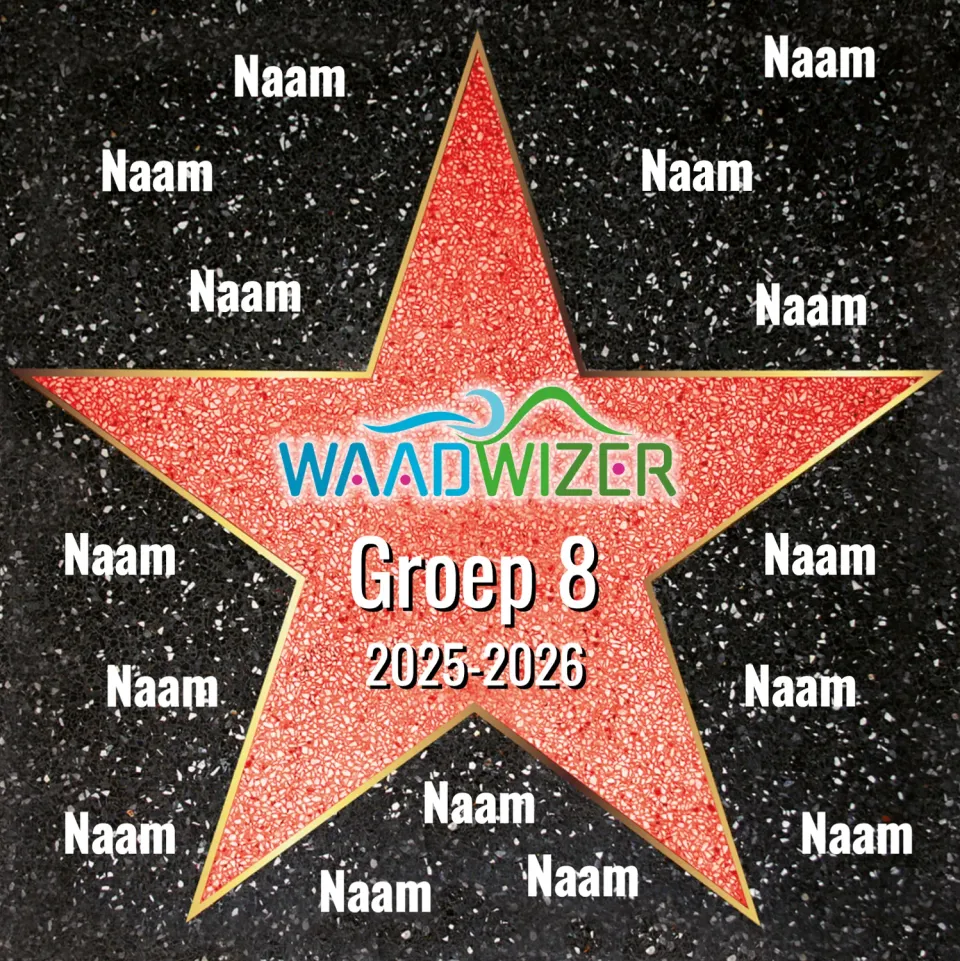 Gozi Waadwizer Template stoeptegel persoonlijk antislip