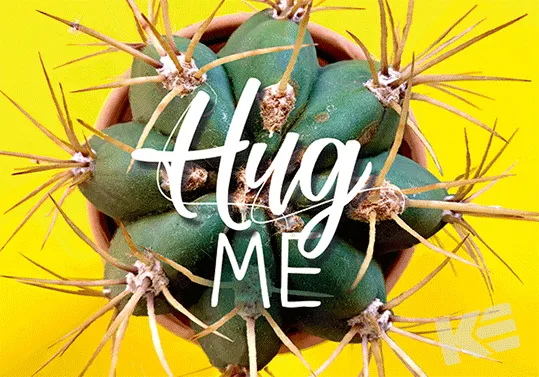 Kurt Eulzer 30-2379 postkaart Hug Me cactus 3D liggend