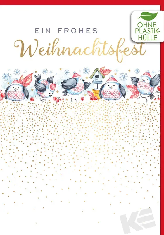 Kurt Eulzer 22-1654 kerstkaart vogelhuisje vogels