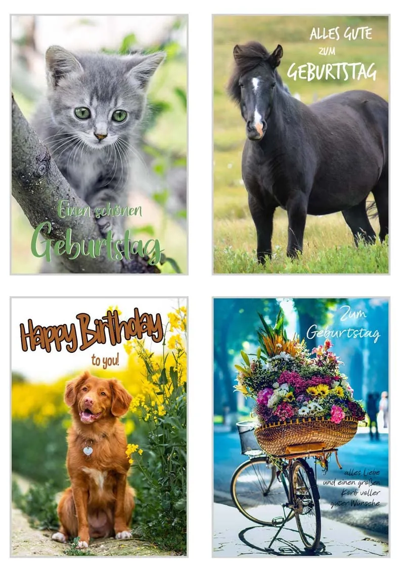 Edition Seidel SW02 Set 3 verjaardagskaarten set 20 met envelop