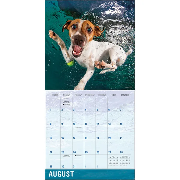 Sellers Publishing Underwater Dogs 2027 wandkalender honden