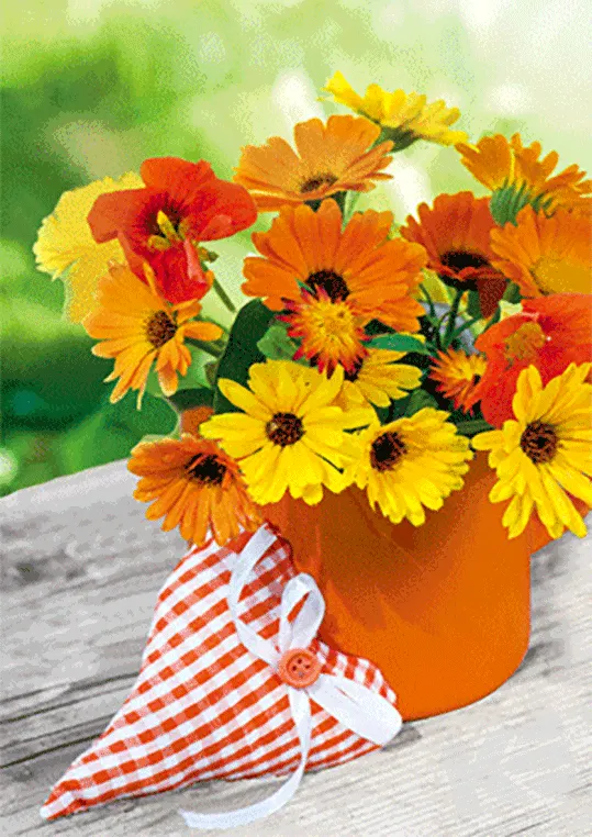 Kurt Eulzer 30-2370 wenskaarten bloemen 10 stuks hart