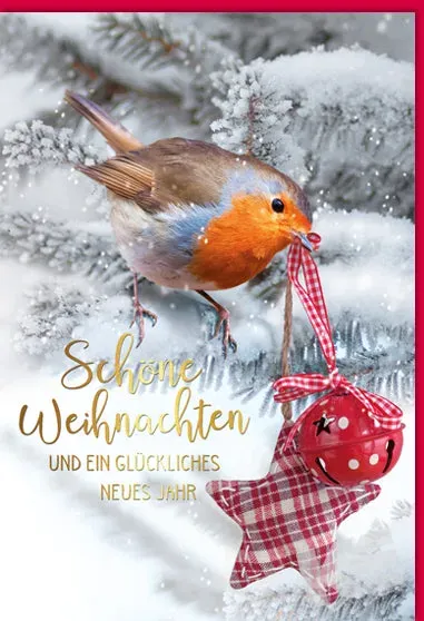Kurt Eulzer 22-1532 kerstkaart vogel met kerstbal preeg
