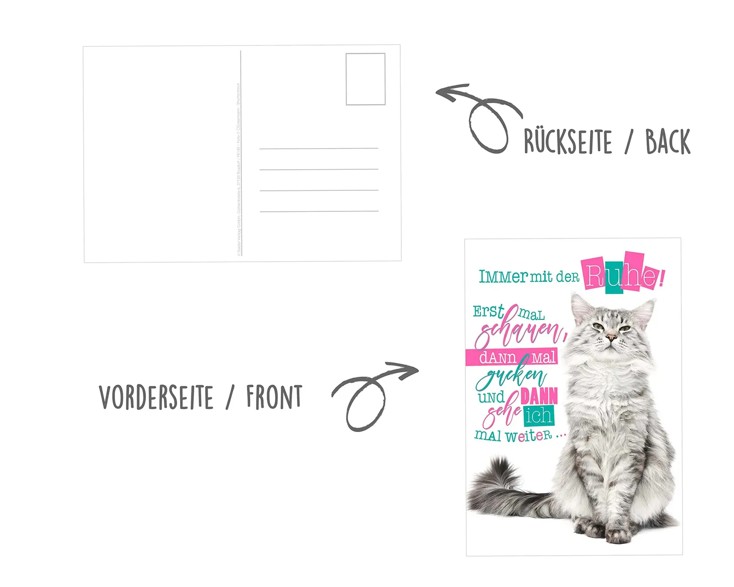 Edition Seidel 23003 postkaarten dieren set 25 grappig